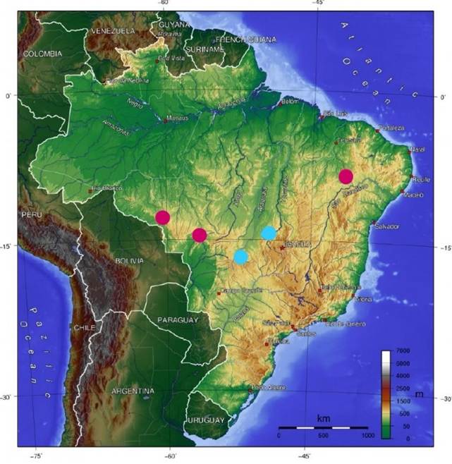Mapa

Descrição gerada automaticamente